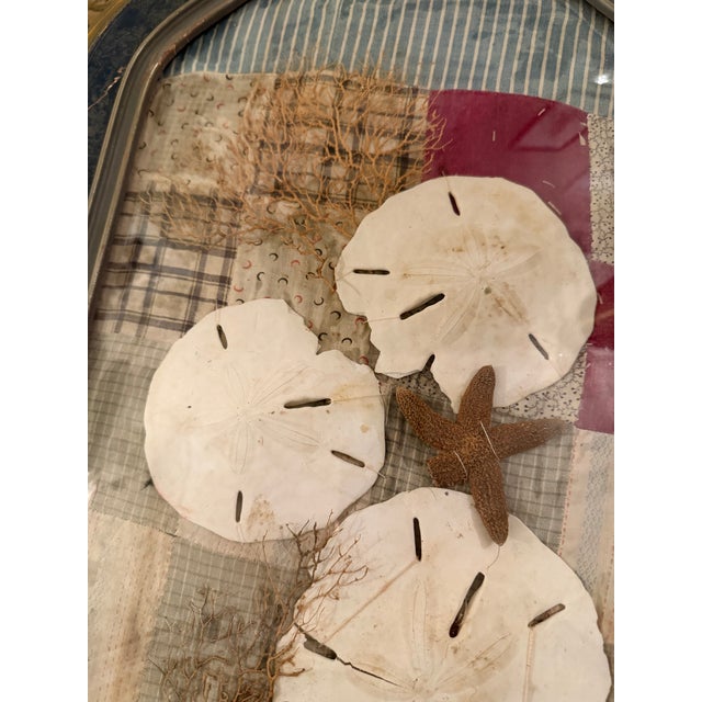 Sand Vintage Hand Made Shell Art, Framed For Sale - Image 8 of 8