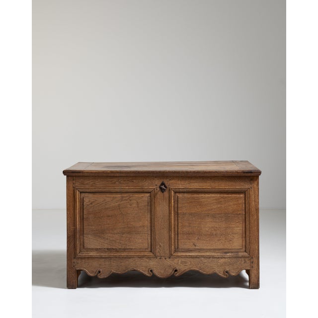 French Carved Oak Trunk France 19th Century For Sale - Image 9 of 12