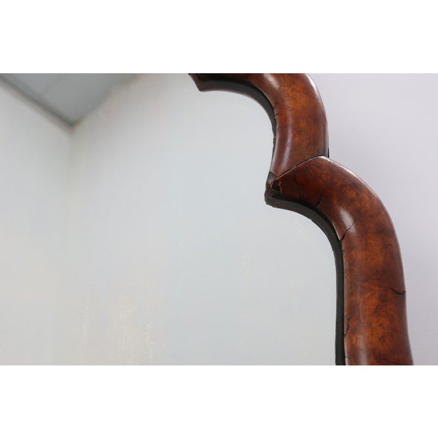 Brown Louis XV Style Root Veneer Mirror with Scalloped Curved Frame and Oister Crest, 1800s For Sale - Image 8 of 11