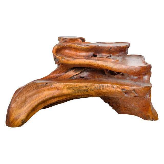 Indonesian 20th Century Lacquered Root Stand Drilled to Work as a Fountain For Sale - Image 13 of 13