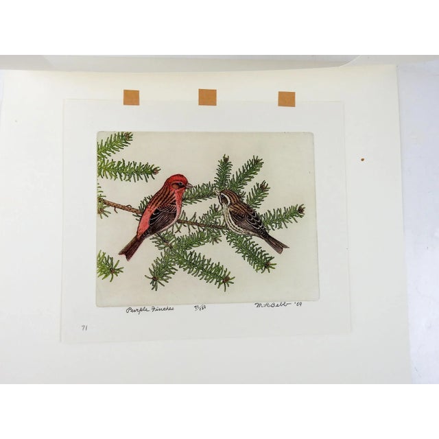 1960s Vintage 1969 Maurice Bebb Purple Finches Aquatint Etching For Sale - Image 5 of 6