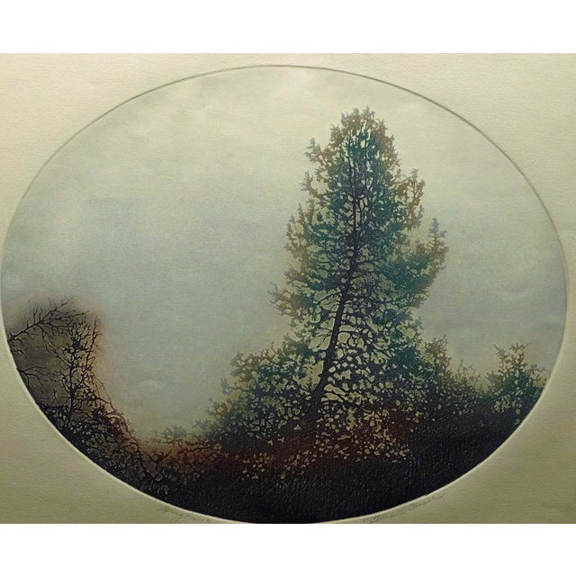 Catherine O'Connor "Spring Pines I & Ii" 2 Hand Signed Fine Art Etchings, Trees For Sale In Denver - Image 6 of 12