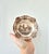 Rustic Vintage English Ironstone Dessert Set by Johnson Bros, 1970s, Set of 9 For Sale - Image 3 of 15