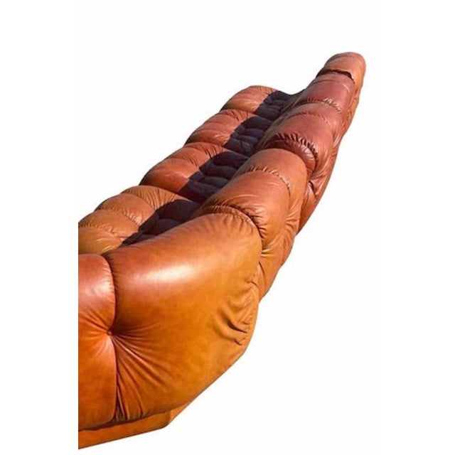 Animal Skin Nuvolone Modular Sofa in Leather by Rino Maturi, Italy, 1960s, Set of 5 For Sale - Image 7 of 8