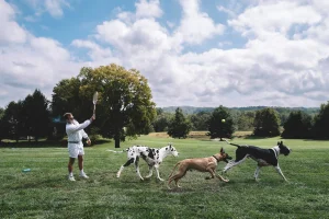 "Fetch", Contemporary Unframed Photograph by Nick Mele, Large
