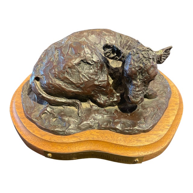 Bronze by Bill Owen Entitled “Bushed” a Tired Calf Beautiful 1974 For Sale