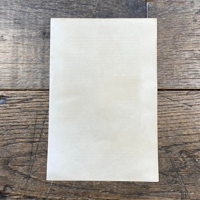 French Antique 18th Century "L'Ouistite" Monkey Engraving Hand Colored Signed Artwork For Sale - Image 12 of 12