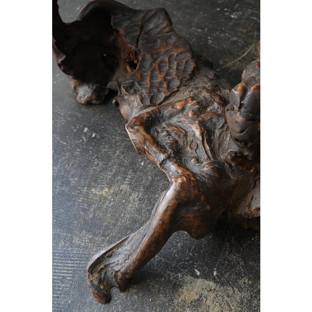 Antique Japanese Burl Wood Display Stand / Meiji-Showa / Organic One-of-a-Kind For Sale - Image 6 of 18