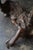 Antique Japanese Burl Wood Display Stand / Meiji-Showa / Organic One-of-a-Kind For Sale - Image 6 of 18