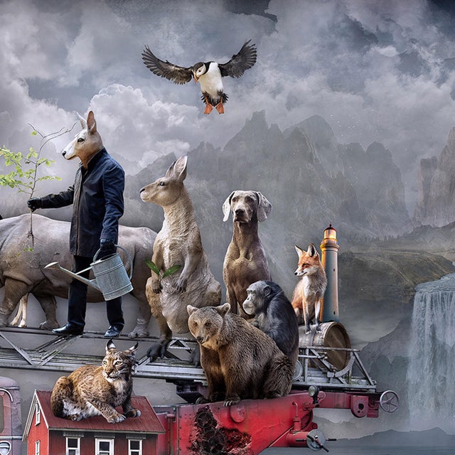 To the Rescue by Marcin Owczarek | Photography - Dye Sublimation on Aluminum Fire truck with animals For Sale - Image 4 of 5