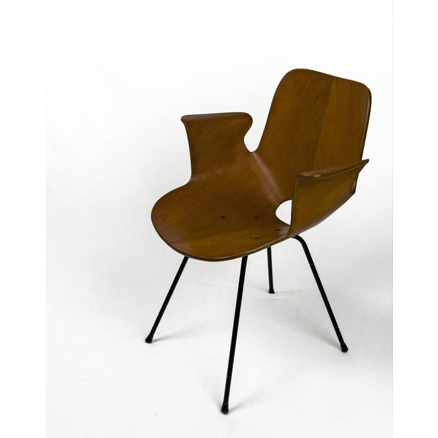 Vintage Bentwood Medea Chair by Vittorio Nobili for Fratelli Tagliabue, Italy, 1950s For Sale - Image 4 of 10