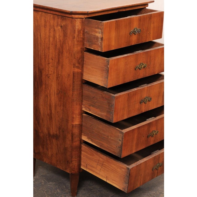 Brown Early 19th Century Italian 5-Drawer Side Chest For Sale - Image 8 of 10