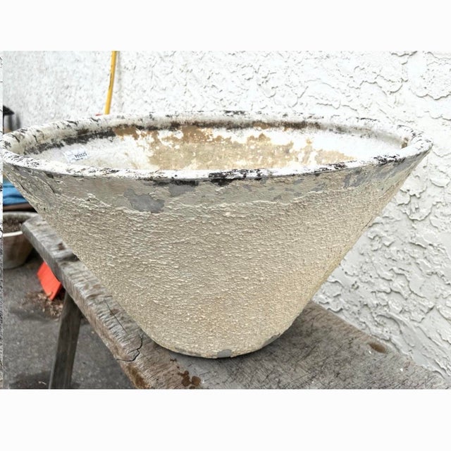 1960s 1960s Large Willy Guhl Tapered Planter For Sale - Image 5 of 9