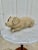 Traditional 20th Century Vintage Concrete Garden Pig Statue For Sale - Image 3 of 12