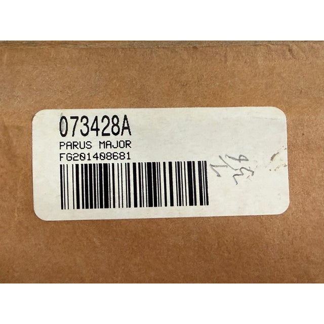 Wood Ethan Allen Framed Antique Bird Print: Paris Major For Sale - Image 7 of 10