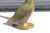 Hollywood Regency Vintage 30" Bronze Swan Sculpture For Sale - Image 3 of 12