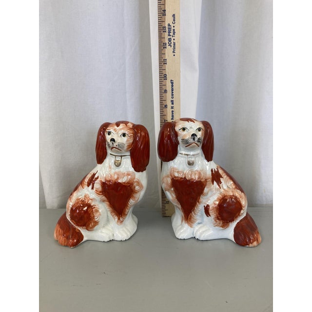 This charming pair of Staffordshire Terriers are the perfect low maintenance dogs for people on the go.