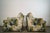 Wood 1960’s Mid-Century Modern Floral Lounge Chairs by Ethan Allen - A Pair For Sale - Image 7 of 12