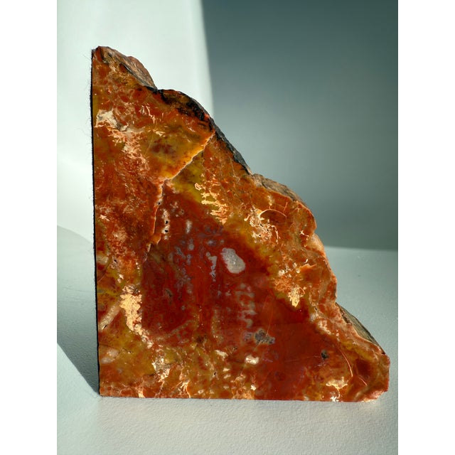 Vintage MCM Pair of Petrified Wood Bookends Arizona Rainbow For Sale - Image 11 of 14