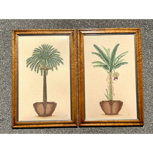 Tan Vintage Coastal Prints - A Pair For Sale - Image 8 of 12