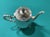 English Silver-Plated Metal Teapot, 1950s, in Good conditions. Designed 1950 to 1959