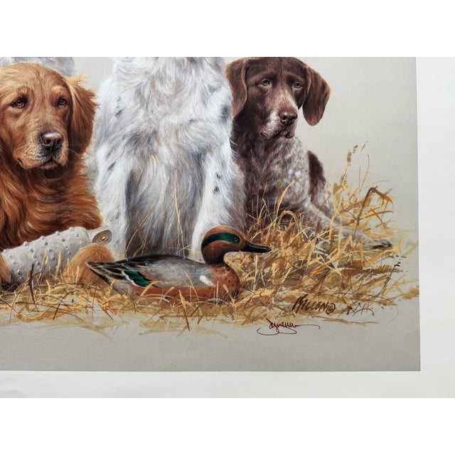 1980s Jim Killen Sporting Dog Art Great Retrievers Labs (29.5"x20") "Class Reunion" Open Edition For Sale - Image 6 of 7