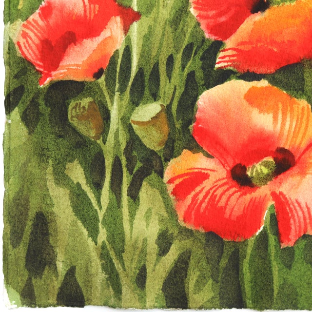 Poppies 2 - Original Botanical Floral Watercolor Painting on Paper For Sale - Image 4 of 6