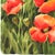 Poppies 2 - Original Botanical Floral Watercolor Painting on Paper For Sale - Image 4 of 6