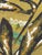 Modern French Aubusson Tapestry by Rene Fumeron, 1950s For Sale - Image 13 of 18