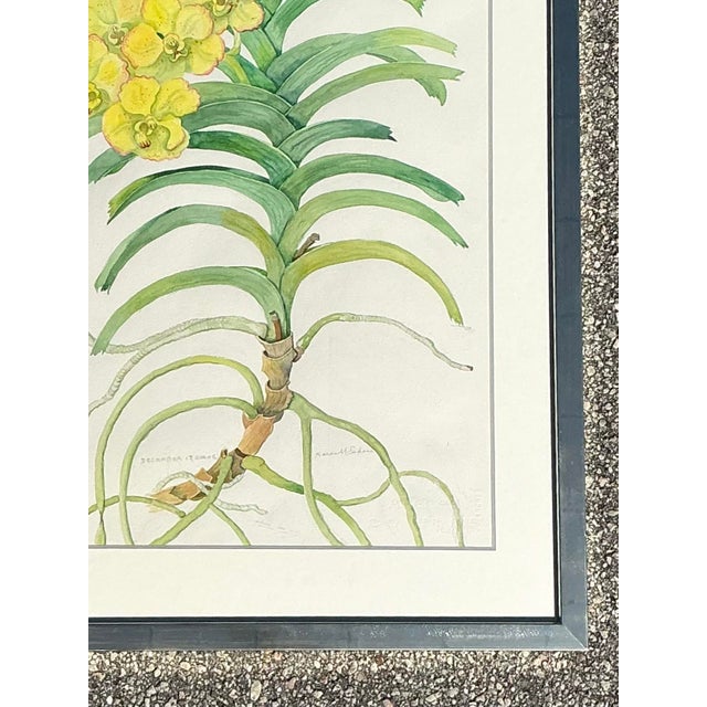 Vintage Original Botanical Watercolor on Paper For Sale - Image 4 of 12