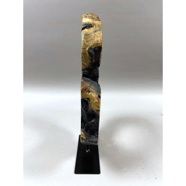 Early 21st Century Modern Organic Live-Edge Wood Viewing Sculpture For Sale - Image 5 of 7