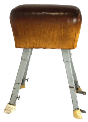 Vintage Gymnastic Horse in Leather with Springboard, 1960s, Set of 2