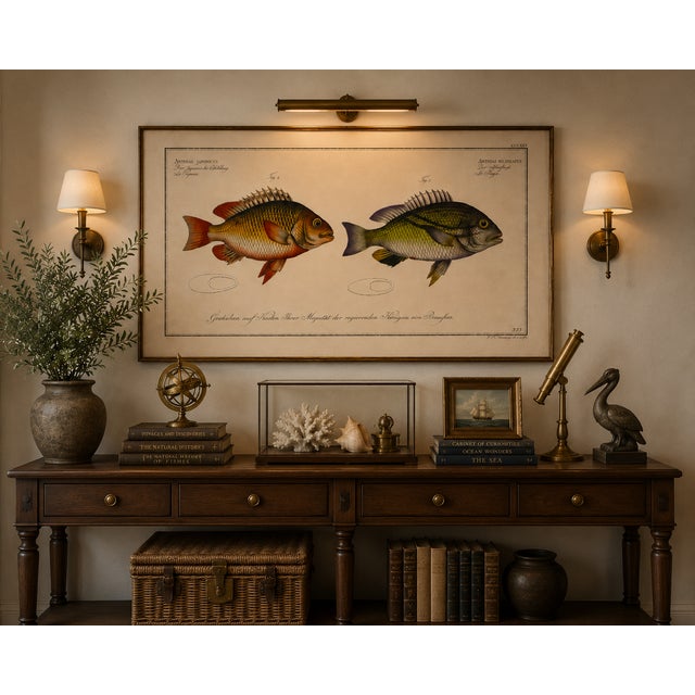 Ivory Antique Fish Study 1, Vintage Art Print Reproduction, 30" X 20" For Sale - Image 8 of 10