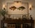 Ivory Antique Fish Study 1, Vintage Art Print Reproduction, 30" X 20" For Sale - Image 8 of 10
