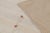 Rug & Kilim’s Contemporary Flatweave Runner With Beige & Ivory Tonal Stripes For Sale - Image 10 of 10