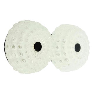 Mid-Century Modern Diamond Glass Wall Lights from Limburg, Germany, 1960s, Set of 2 For Sale