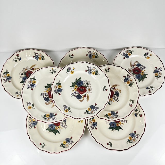 Vintage Agreste Dinner Plates from Sarreguemines, 1970s, Set of 8 For Sale - Image 12 of 12
