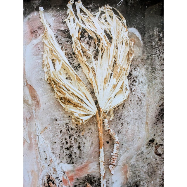 Anselm Kiefer, Palmsonntag, Large Screen Print, 2007 For Sale - Image 6 of 7