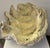 Monumental Faux Giant Clam Shell Fiberglass/Resin Authentic Weathered Patina 40" For Sale - Image 12 of 12