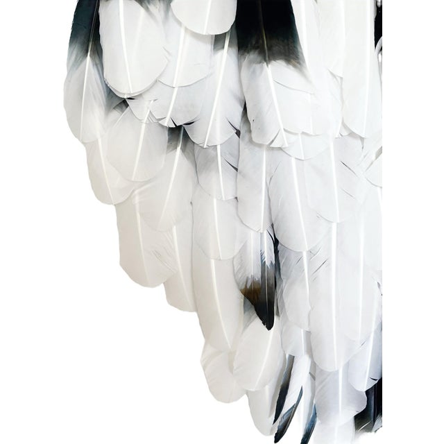 Wood Plumage and Obsidian For Sale - Image 7 of 14