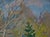 Realism 1980s Impressionist Forest Oil Painting, Original Soviet Ukrainian Art 50-67 For Sale - Image 3 of 6