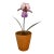 French Porcelain Flower in Terracotta Pot For Sale
