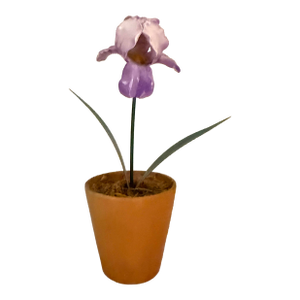 French Porcelain Flower in Terracotta Pot