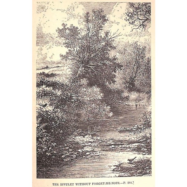 "A Tour Round My Garden" Wood, Rev. j.g. For Sale - Image 10 of 12