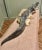 Long Italian Handmade Majolica Crocodile For Sale - Image 3 of 8