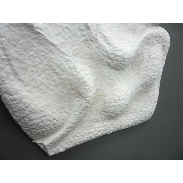 Anthroposophical Gibs Wall Sculpture in Plaster by Armin Naldi 2000s, 2000s For Sale - Image 4 of 8
