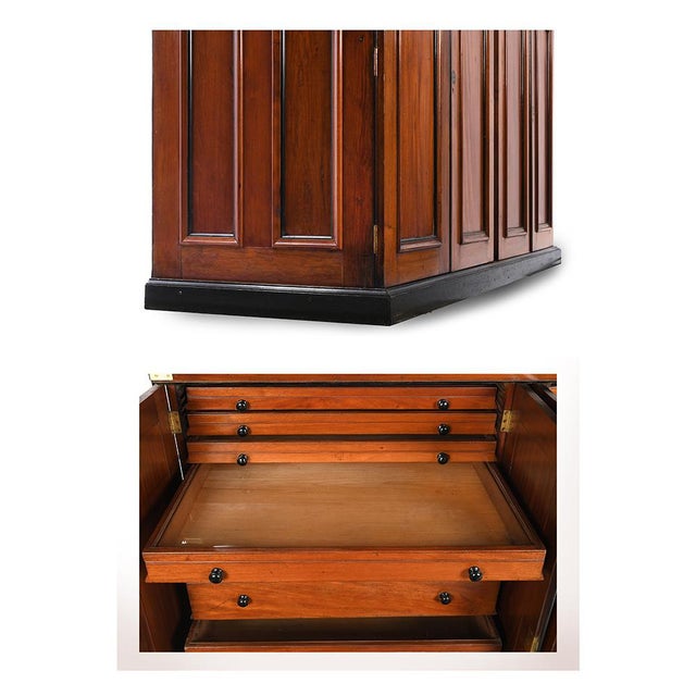 Mahogany Display Case of the Great Zoological Museum of Cambridge For Sale - Image 8 of 9