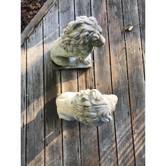 Concrete Sitting Lion Statues - Set of 2 For Sale - Image 9 of 11