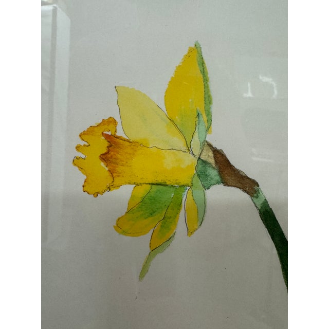 Isabel Wyatt Daylight Daffodil Original Painting, Signed For Sale - Image 11 of 12