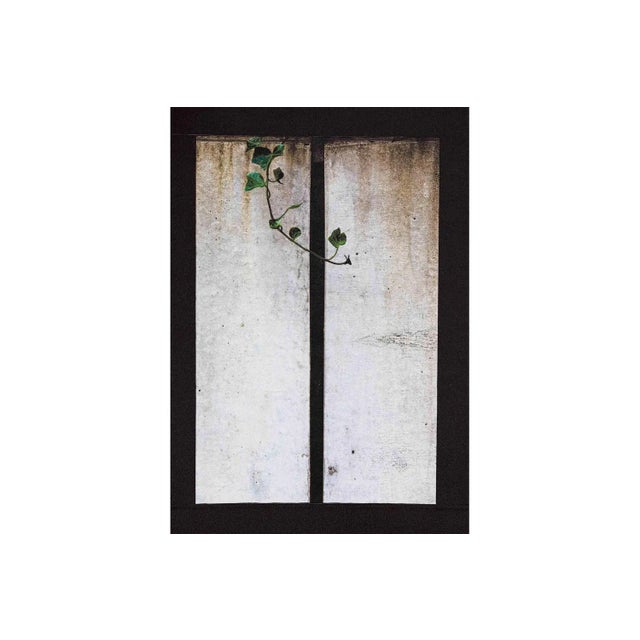 Kensho 2246, 2019 For Sale - Image 3 of 6